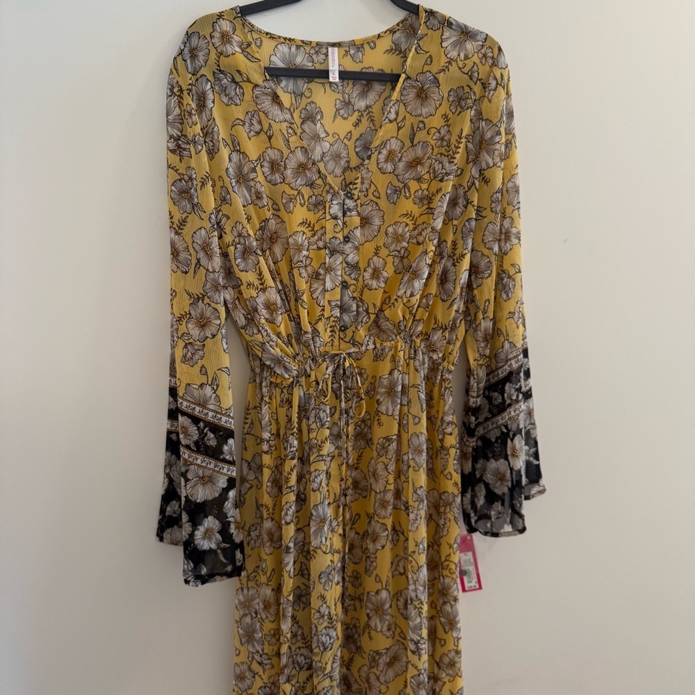 Button down bell sleeve maxi dress. Sheer with matching slip.